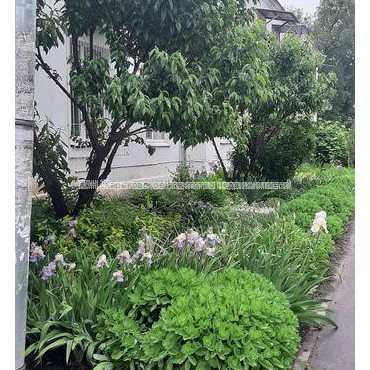 Продам квартиру, Михайлика ул. , 1 кім., 30 м², капитальный ремонт 