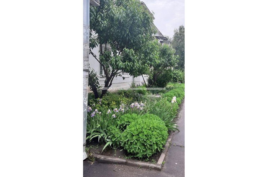 Продам квартиру, Михайлика ул. , 1 кім., 30 м², капитальный ремонт 