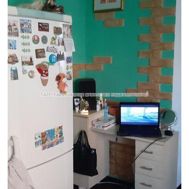 Продам квартиру, Михайлика ул. , 1 кім., 30 м², капитальный ремонт 