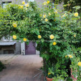 Продам квартиру, Юри Зойфера ул. , 3 кім., 80 м², косметический ремонт 