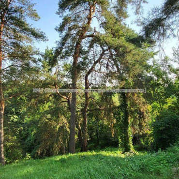 Продам будинок, 1 Мая ул. , 102.50 м², 25 соток, евроремонт 