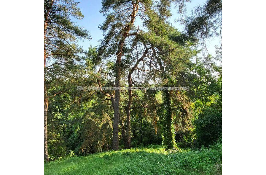 Продам будинок, 1 Мая ул. , 102.50 м², 25 соток, евроремонт 