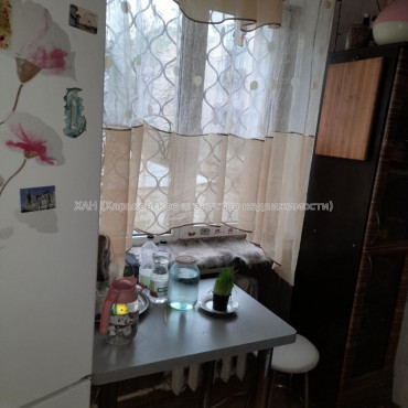 Здам квартиру, Александра Олеся ул. , 11 , 1 кім., 34 м², косметический ремонт 