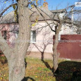 Продам будинок, Академиков Ахиезеров ул. , 41 м², 4 соток, косметический ремонт 