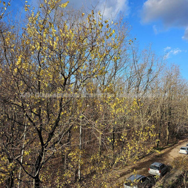 Продам квартиру, Деревянко ул. , 4  ком., 73 м², без ремонта  - фото 3 Продам квартиру, Деревянко ул. , 4  ком., 73 м², без ремонта