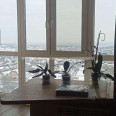 Продам квартиру, Жуковского просп. , 1 кім., 36 м², капитальный ремонт 