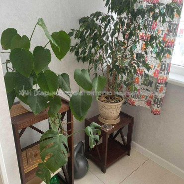 Продам квартиру, Домостроительная ул. , 1  ком., 52 м², капитальный ремонт 