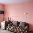 Продам квартиру, Рижский пер. , 1  ком., 20 м², капитальный ремонт 