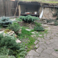 Сдам дом, Севастопольская ул. , 308 м², 5 сот., евроремонт 