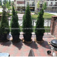 Продам квартиру, Профессорская ул. , 3 кім., 130 м², авторский дизайн 