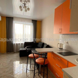 Сдам квартиру, Шевченковский пер. , 1  ком., 20 м², евроремонт