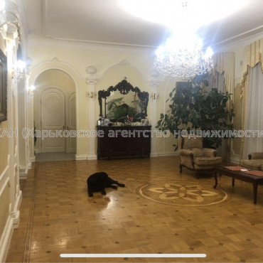 Продам квартиру, Свободы ул. , 5 кім., 230 м², авторский дизайн  - фото 15 Продам квартиру, Свободы ул. , 5 кім., 230 м², авторский дизайн