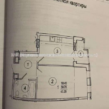 Продам квартиру, Гвардейцев Широнинцев ул. , 1  ком., 43 м², без ремонта  - фото 5 Продам квартиру, Гвардейцев Широнинцев ул. , 1  ком., 43 м², без ремонта