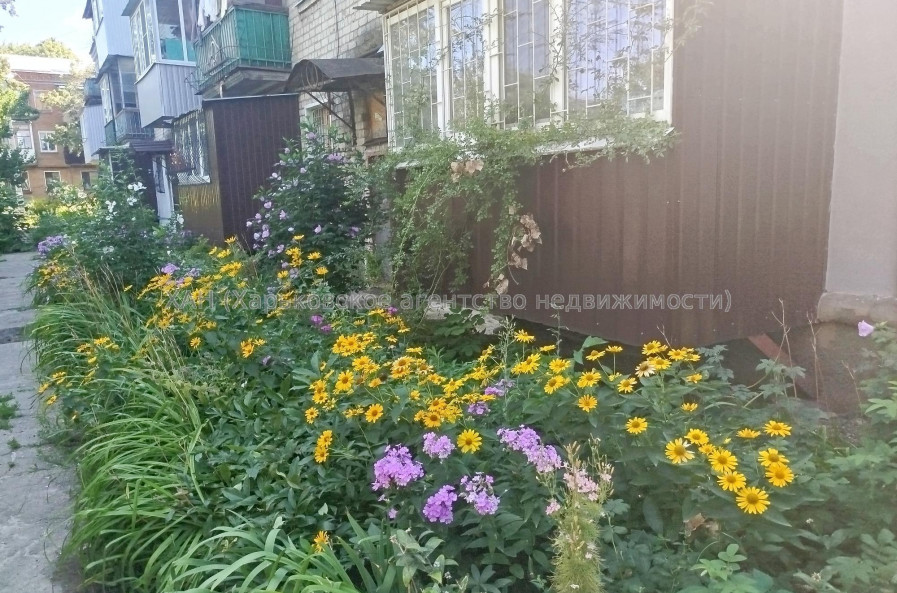 Продам квартиру, Щедрика пер. , 13 , 1 кім., 25 м², советский ремонт 