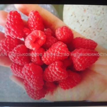 Продам будинок, Донская ул. , 142 м², 15 соток, капитальный ремонт 