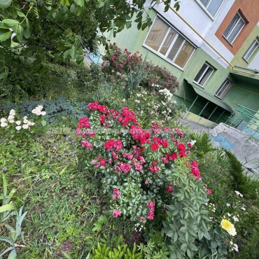 Продам квартиру, Дача 55 ул. , 1 кім., 40 м², авторский дизайн 