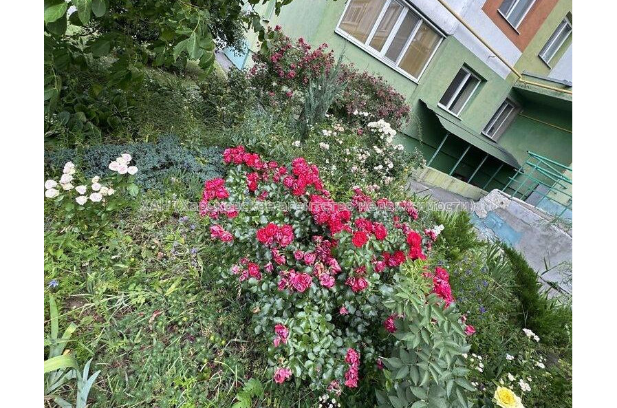 Продам квартиру, Дача 55 ул. , 1 кім., 40 м², авторский дизайн 