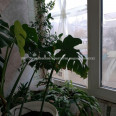 Продам квартиру, Каденюка ул. , 3  ком., 65.70 м², косметический ремонт 