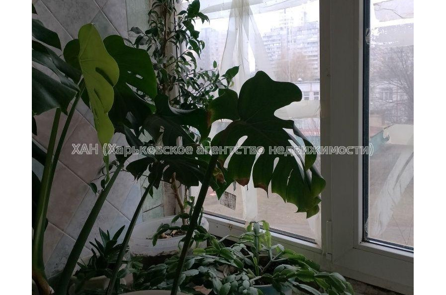 Продам квартиру, Каденюка ул. , 3  ком., 65.70 м², косметический ремонт 