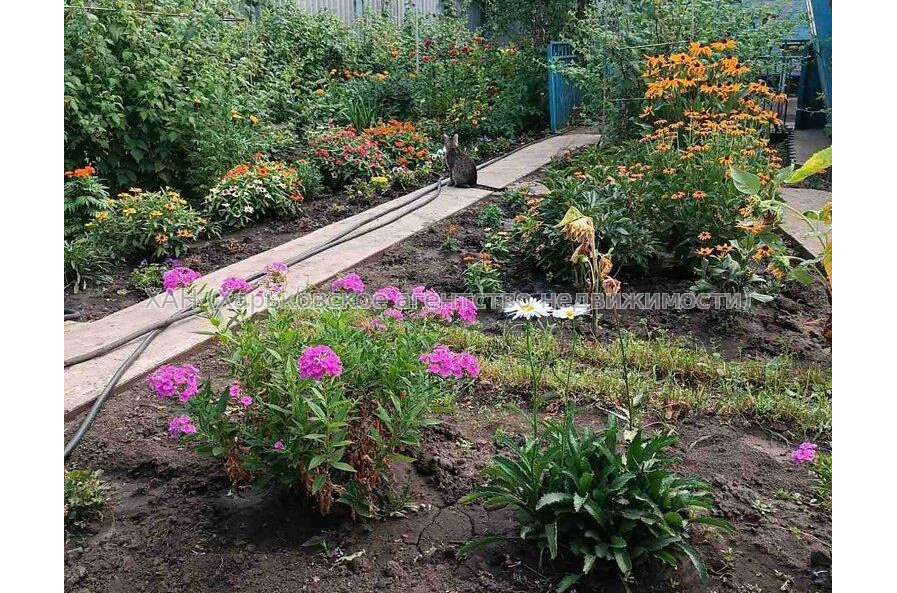 Продам будинок, Кошевого ул. , 53 м², 5 соток, без ремонта 