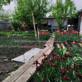 Продам дом, Могилевская ул. , 75 м², 4 сот., капитальный ремонт 