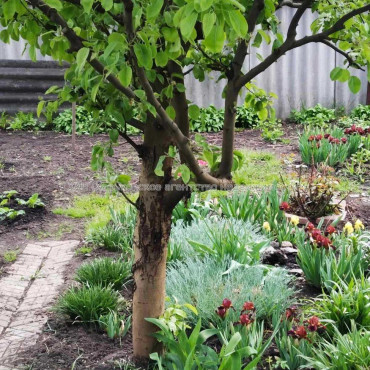 Продам будинок, Могилевская ул. , 75 м², 4 соток, капитальный ремонт 