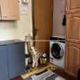 Продам квартиру, Клочковская ул. , 1 кім., 11.60 м², косметический ремонт 