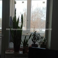 Продам квартиру, Гвардейцев Широнинцев ул. , 1  ком., 33 м², частичный ремонт 