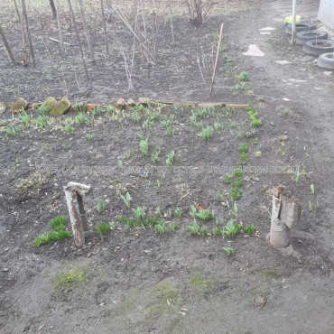 Продам квартиру, Тарасовский пер. , 2 кім., 46 м², капитальный ремонт 