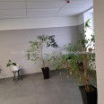 Продам квартиру, Холодногорская ул. , 2  ком., 72 м², без внутренних работ 