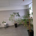 Продам квартиру, Холодногорская ул. , 2  ком., 72 м², без внутренних работ  - фото 7 Продам квартиру, Холодногорская ул. , 2  ком., 72 м², без внутренних работ