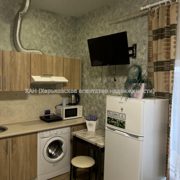 Сдам квартиру, Дидро ул. , 30 , 1  ком., 15 м², капитальный ремонт 