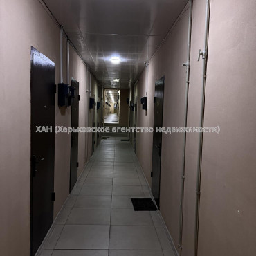 Сдам квартиру, Дидро ул. , 30 , 1  ком., 15 м², капитальный ремонт 