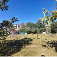 Продам квартиру, 23 Августа ул. , 3  ком., 47.10 м², косметический ремонт 