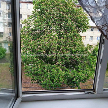 Продам квартиру, 23 Августа ул. , 1 кім., 17.40 м², косметический ремонт 