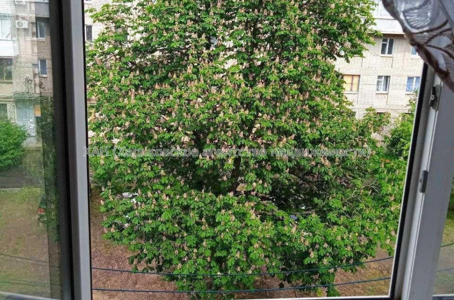 Продам квартиру, 23 Августа ул. , 1  ком., 17.40 м², косметический ремонт 