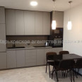 Здам квартиру, Ньютона ул. , 1 кім., 48.60 м², евроремонт 