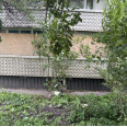 Продам квартиру, Мира ул. , 1  ком., 39.95 м², без ремонта 