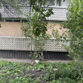 Продам квартиру, Мира ул. , 1  ком., 39.95 м², без ремонта  - фото 3 Продам квартиру, Мира ул. , 1  ком., 39.95 м², без ремонта