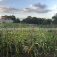 Продам ділянку, дачный участок , Харьков , 11 соток