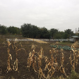 Продам ділянку, дачный участок , Харьков , 11 соток