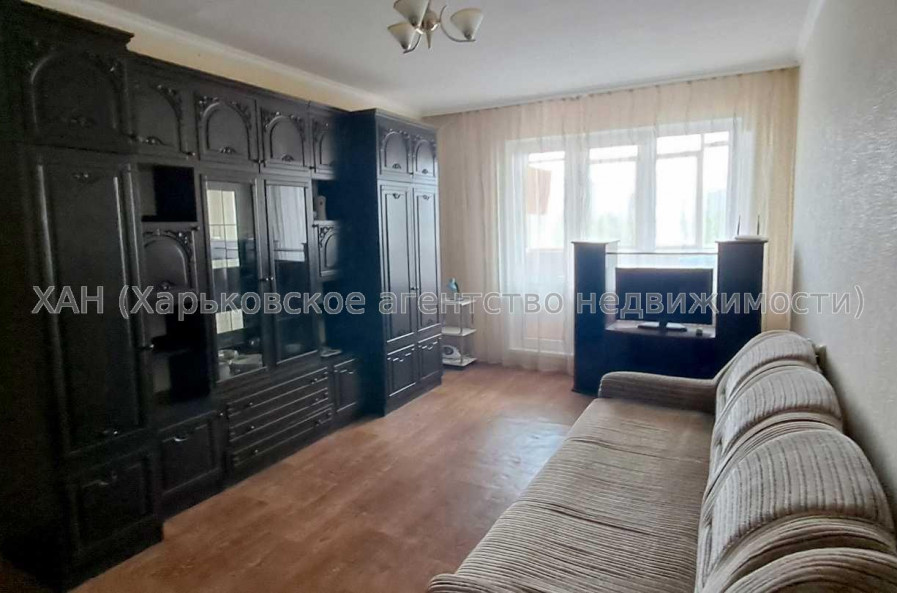 Сдам квартиру, Непокоренных ул. , 1  ком., 35.20 м², косметический ремонт 
