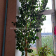 Продам квартиру, Гвардейцев Широнинцев ул. , 2 кім., 46 м², капитальный ремонт 
