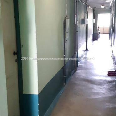 Продам квартиру, Глобинская ул. , 1  ком., 16.80 м², косметический ремонт  - фото 3 Продам квартиру, Глобинская ул. , 1  ком., 16.80 м², косметический ремонт