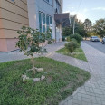 Продам квартиру, Георгия Тарасенко ул. , 1  ком., 39 м², капитальный ремонт 
