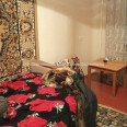 Продам квартиру, Ковтуна ул. , 1 кім., 40 м², косметический ремонт 