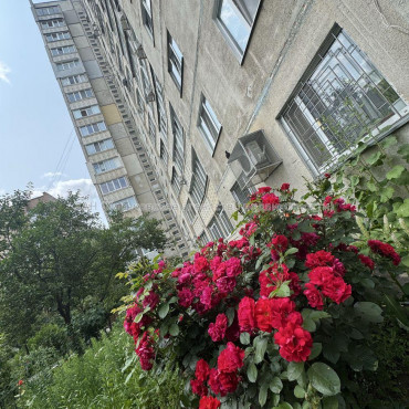 Продам квартиру, Ляпунова ул. , 4  ком., 80 м², капитальный ремонт 