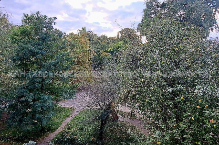 Продам квартиру, Петра Григоренко пр-т , 2  ком., 45 м², советский ремонт 