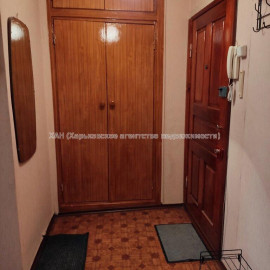 Здам квартиру, Владислава Зубенко ул. , 1 кім., 32 м², косметический ремонт
