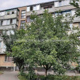 Продам квартиру, Каркача Ивана бульв. , 1  ком., 20 м², косметический ремонт 